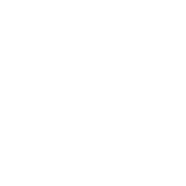 Premier League Collection logo